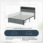 Bed Frame with LED Light and 2 Drawer Metal Platform Set